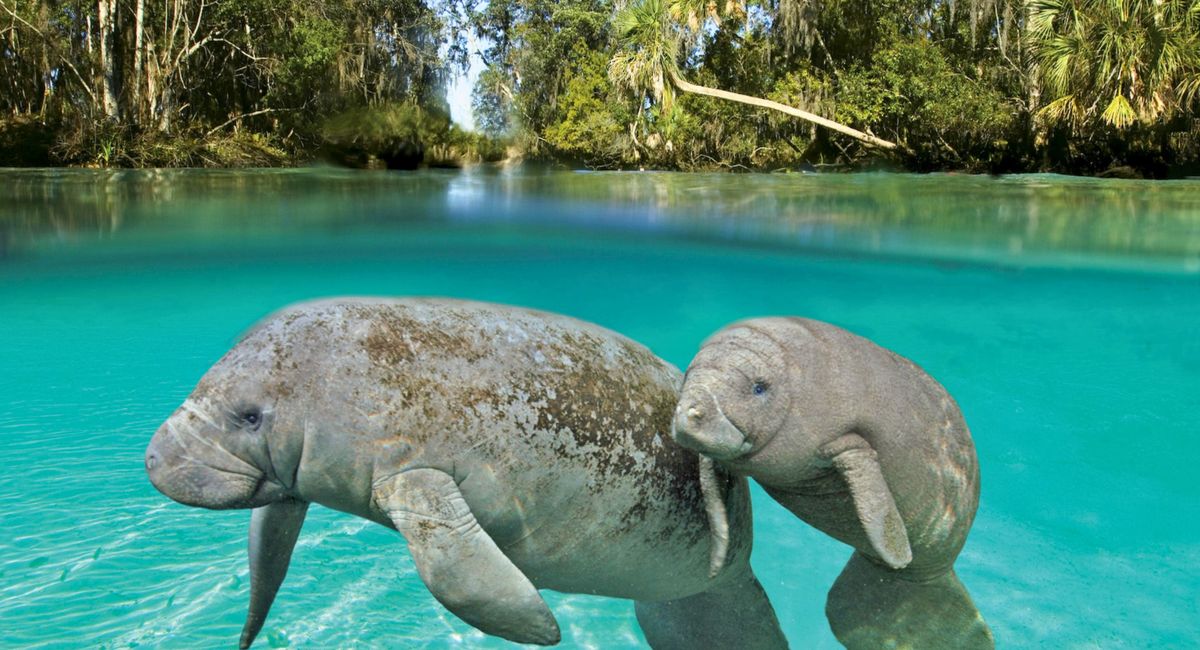 6 Underrated U.S. Travel Destinations For Summer 2024