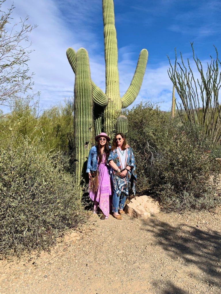 Saguaro National Park - Amanda Morgan
